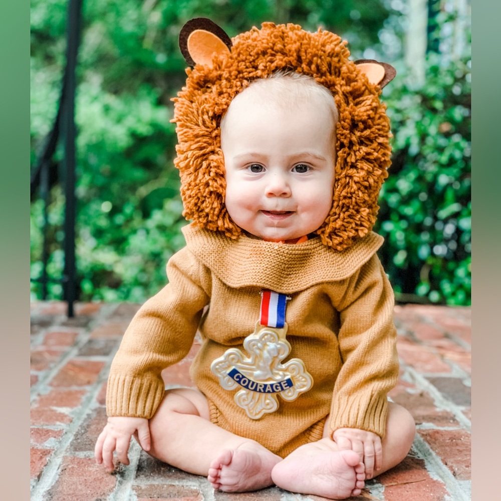 Wizard of Oz Lion costume Halloween